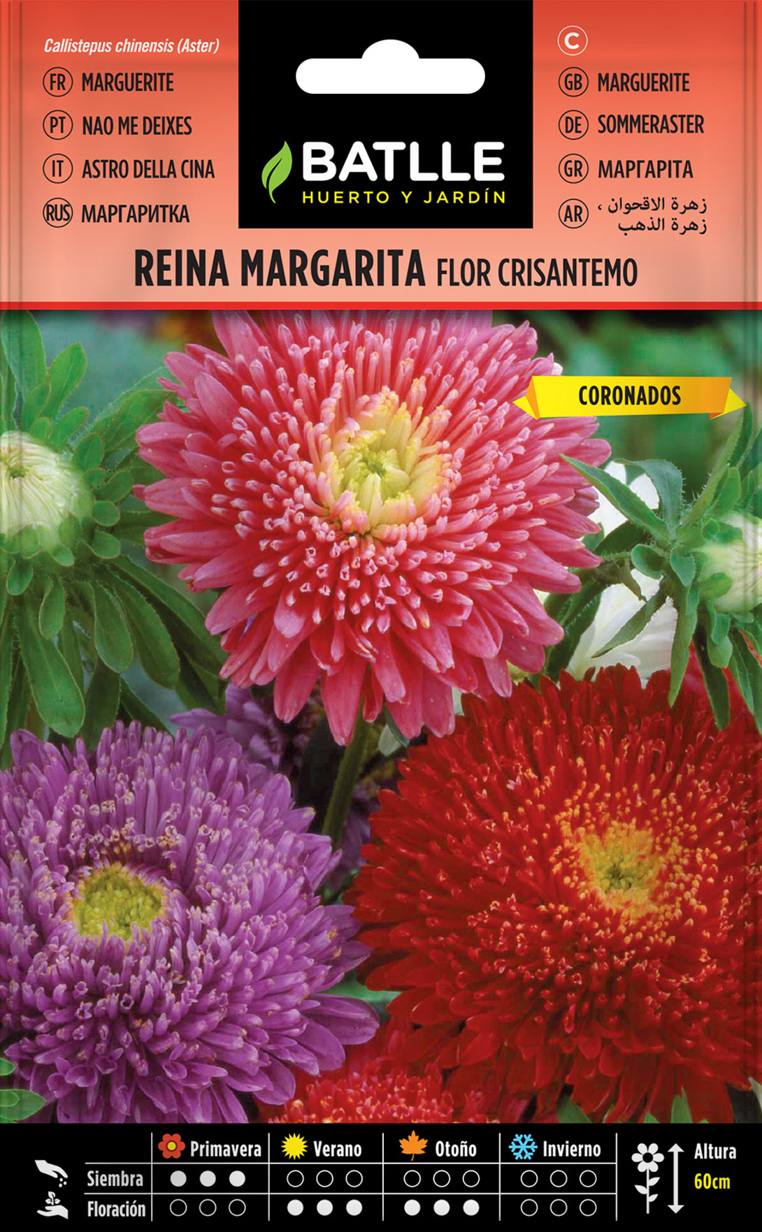 Reina Margarita Flor Crisantemo variada - Semillas Batlle - Huerto y Jardín
