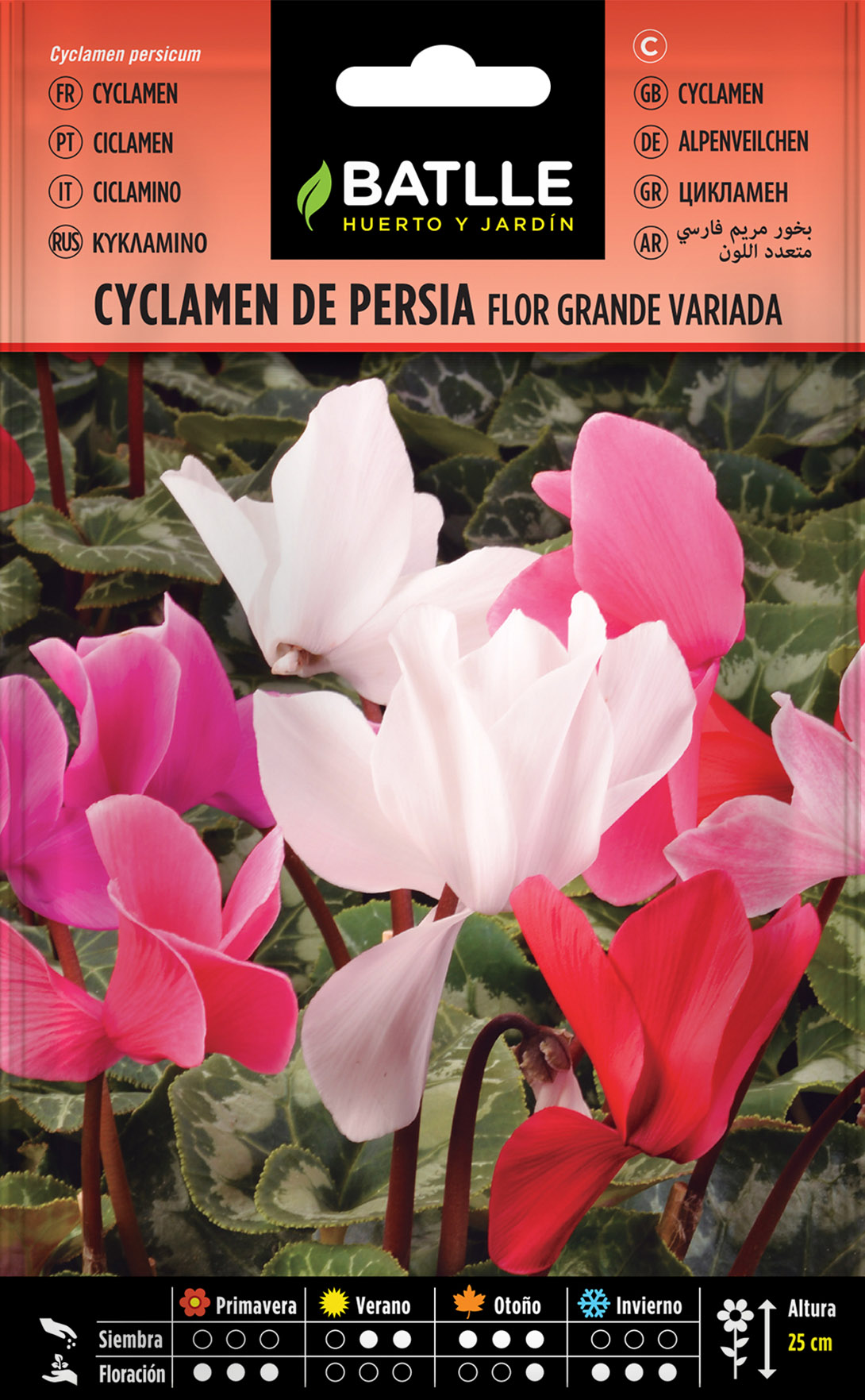 Cyclamen De Persia Flor Grande - Semillas Batlle - Huerto y Jardín